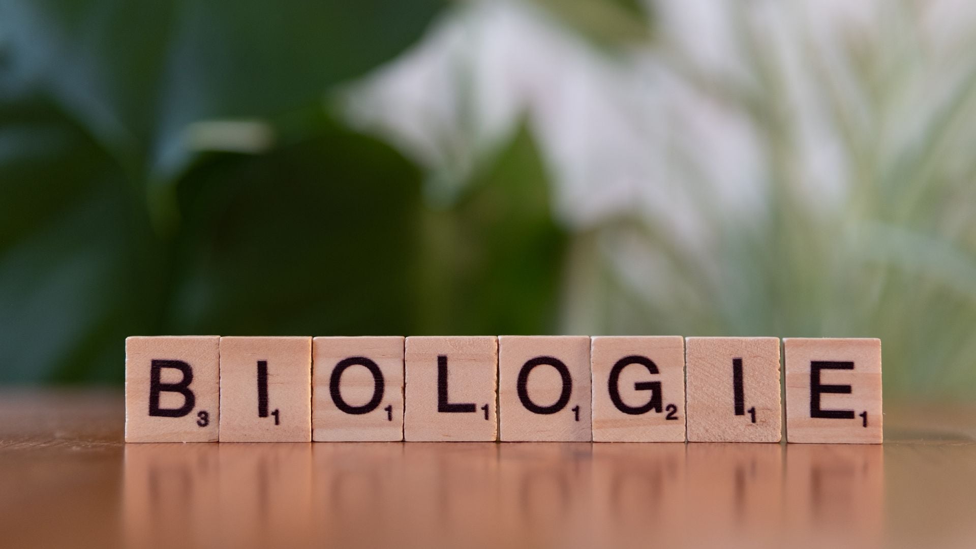 Biology personal statement guide