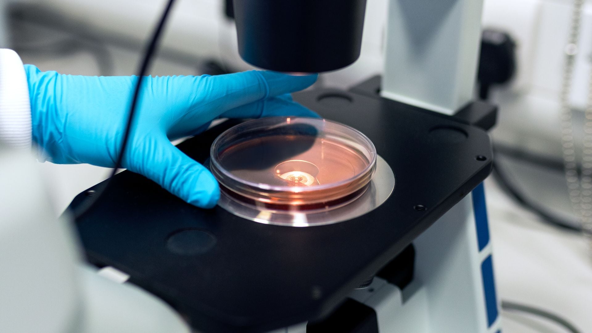Biomedical Engineering personal statement guide