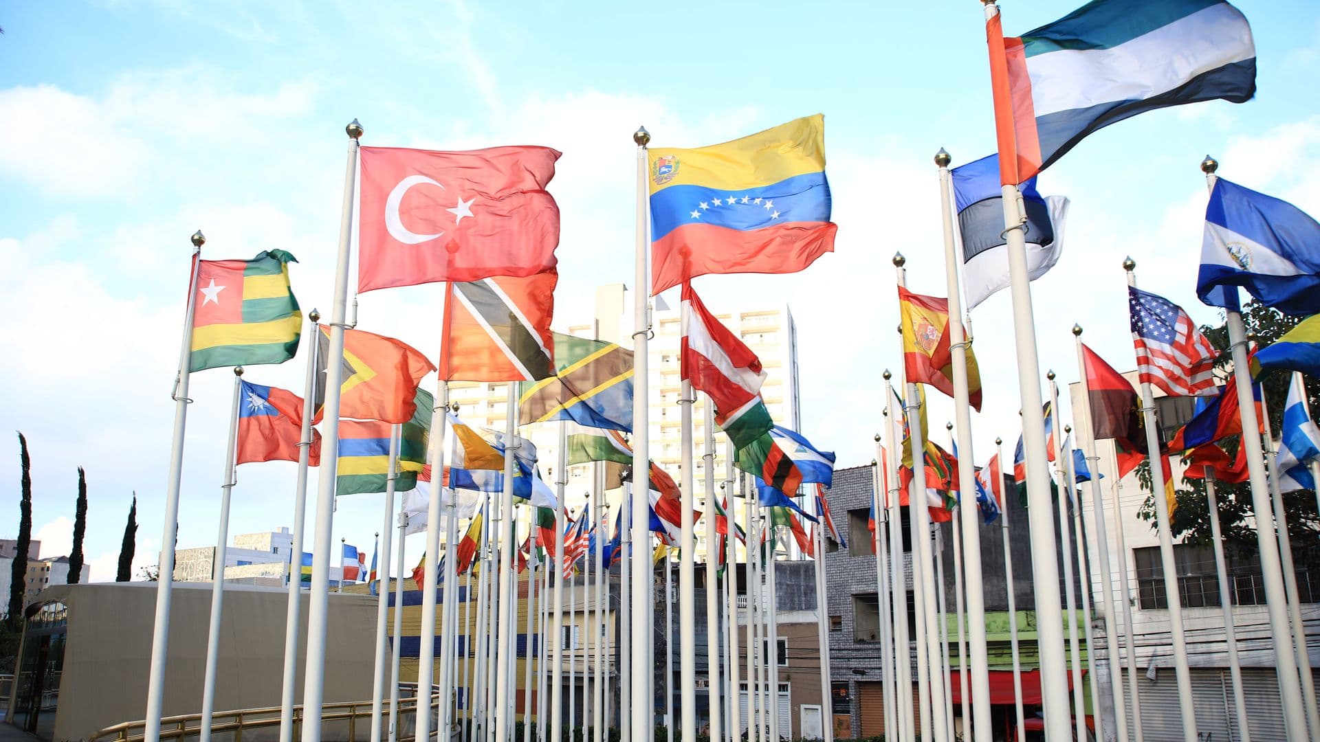 Diplomacy conference flags