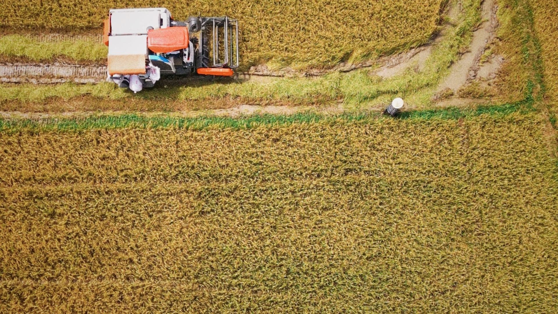 Countryside farmland aerial