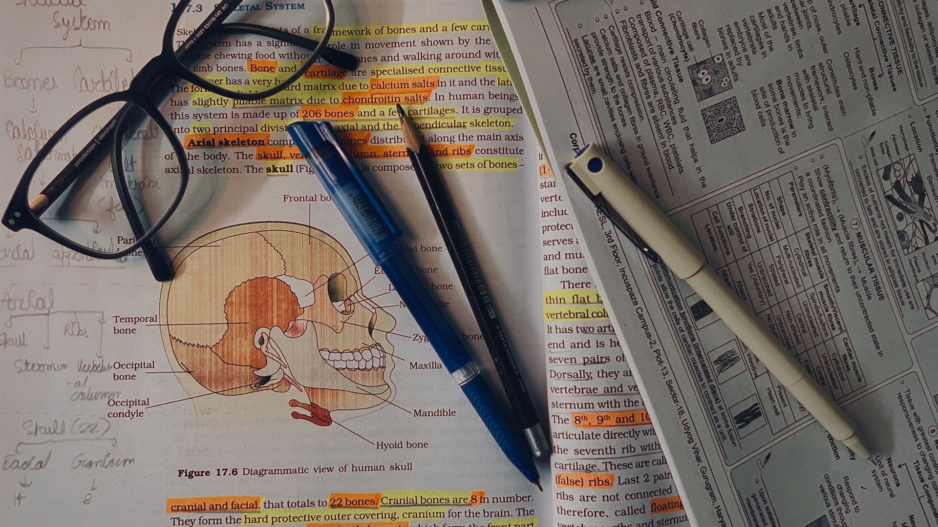 Medical textbooks anatomy study